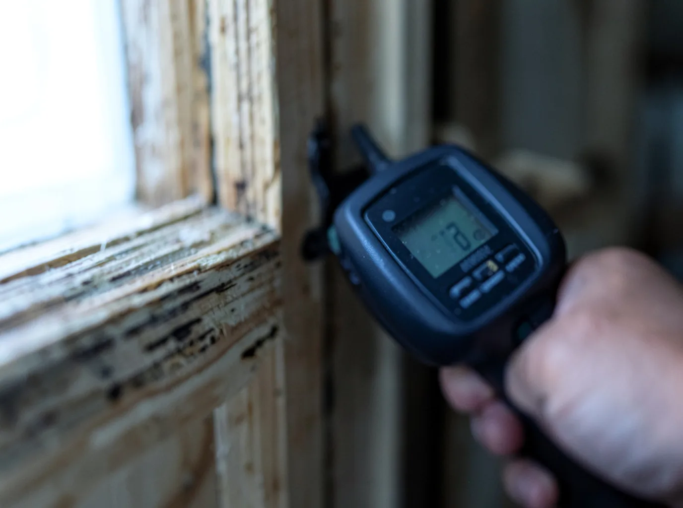 Moisture Inspection And Documentation in Woodbine, GA